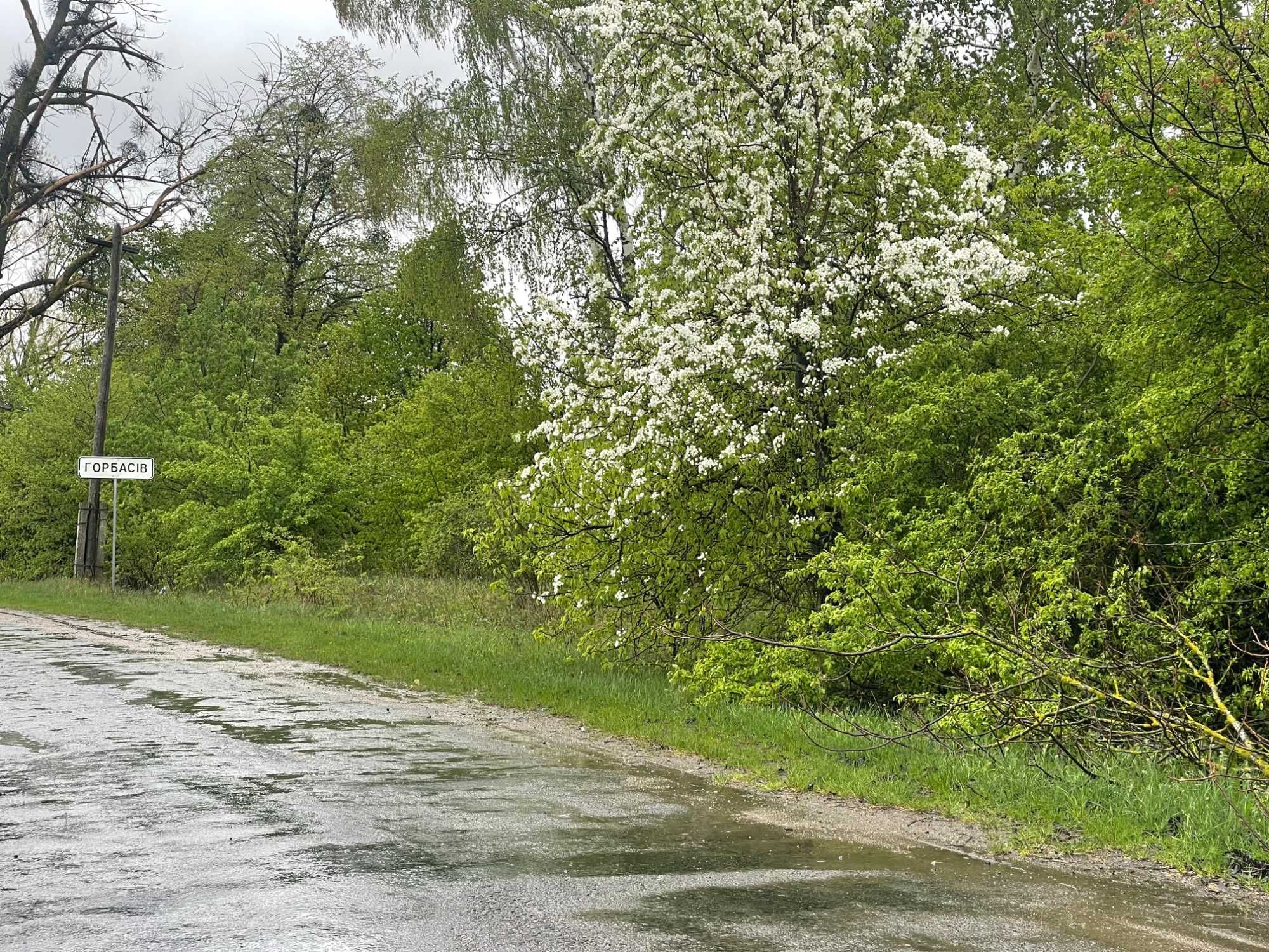 Продаж земельної ділянки село Марківці(Летичівський район) HH