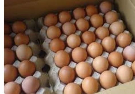 Яйце курей м'ясояєчних порід на інкубацію