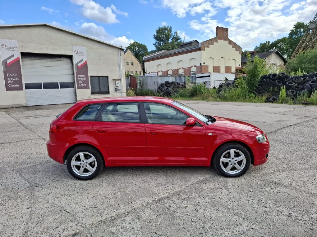 Audi A3 Sportback,1.6 MPI 102KM,5-Drzwi,Nowy Rozrząd,Xenon,Skóra z Nie