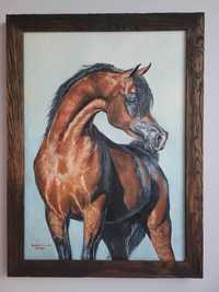 Obraz olejny na płótnie koń arabski