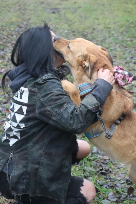 Tokyo wulkan pozytywnej energii szuka najlepszego domu