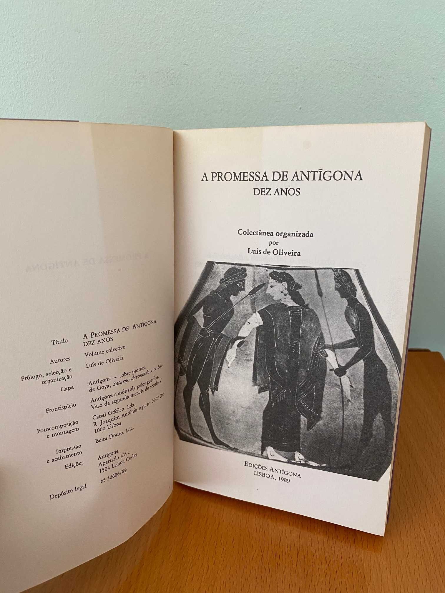 A Promessa de Antígona: Dez Anos