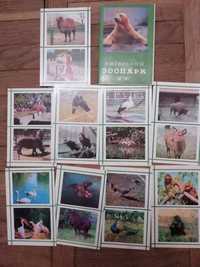 Фотокарточки открытки Киевский зоопарк СССР 1976 год