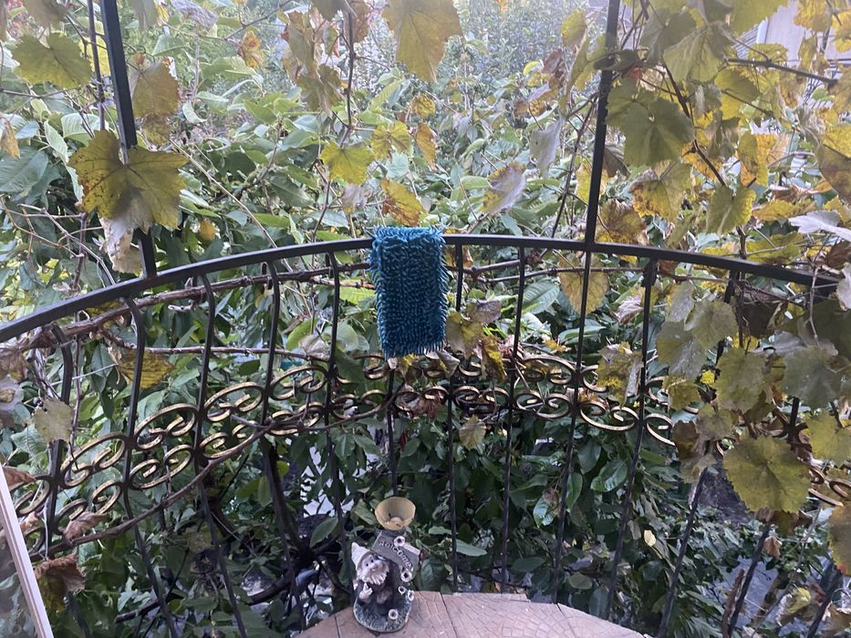 Здаєтьс в оренду кімната/квартира біля центру.