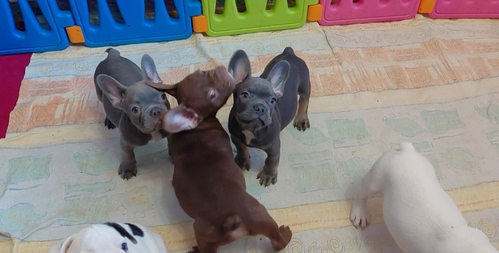 Гарні хлопці та дівчата