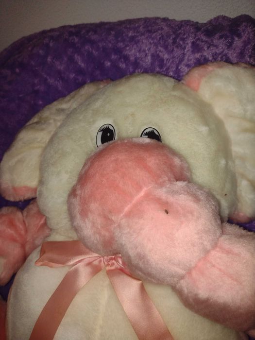 Elefante de peluche branco e rosa