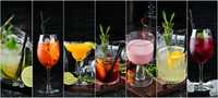 Miksomania | Weselny Drinkbar | Drinki | Barman | Drink Bar | 18-stkę