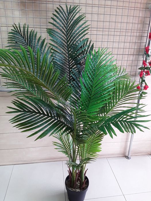 Sztuczna palma w doniczce
Cena 370 zł za sztukę. 

Palma ma