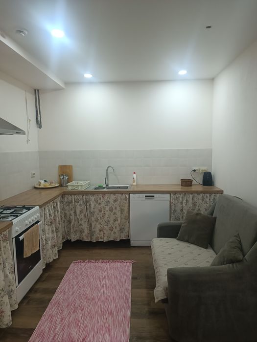 Будинок, посудомийка, постійне електропостачання