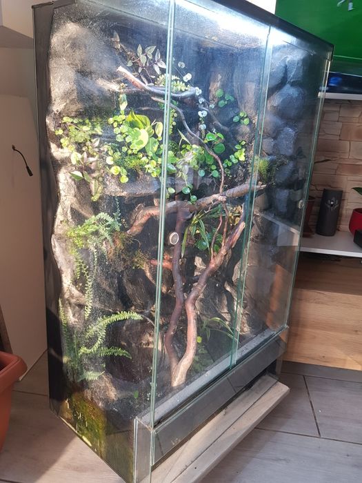 Terrarium 60x40x100cm
