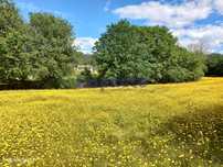 Terreno, Aveiro, Arouca