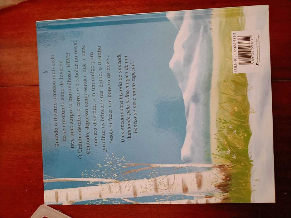 Livro Os amigos na Neve