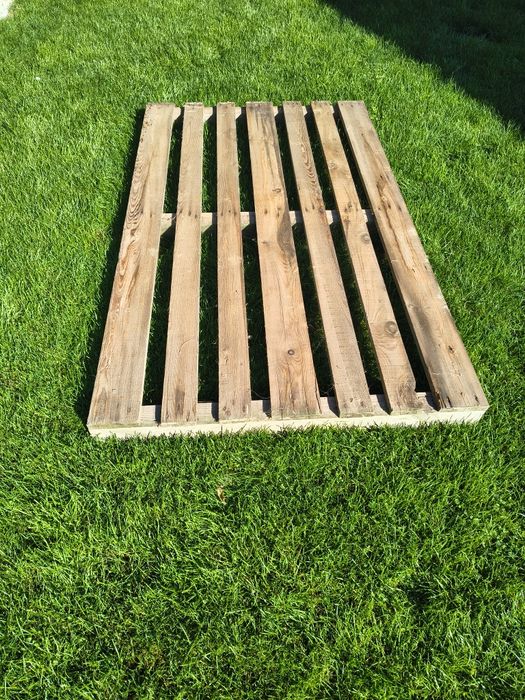 Paleta paleta paleta