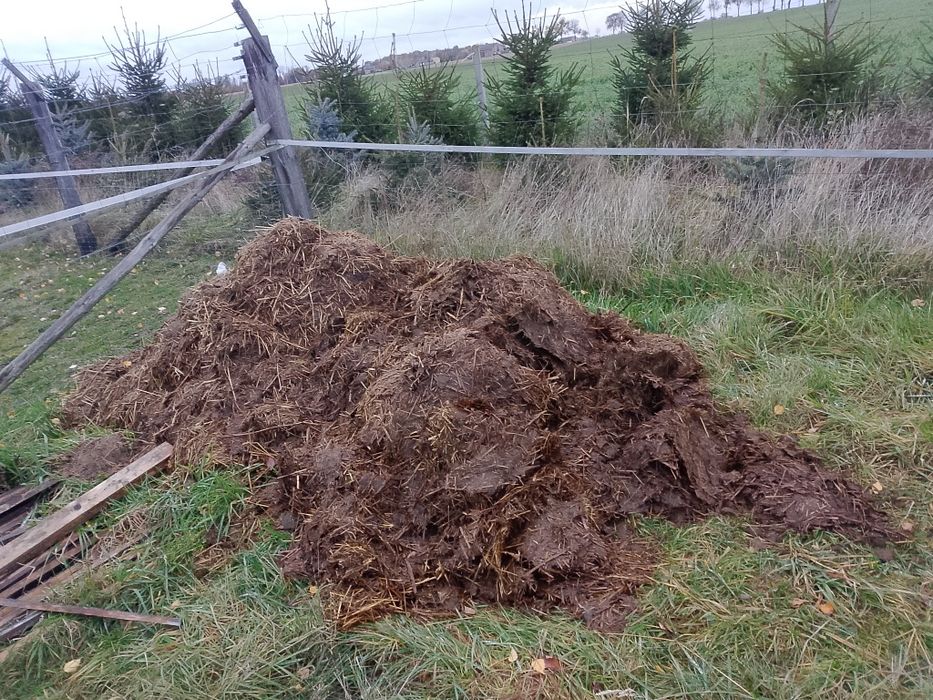 Oddam obornik koński