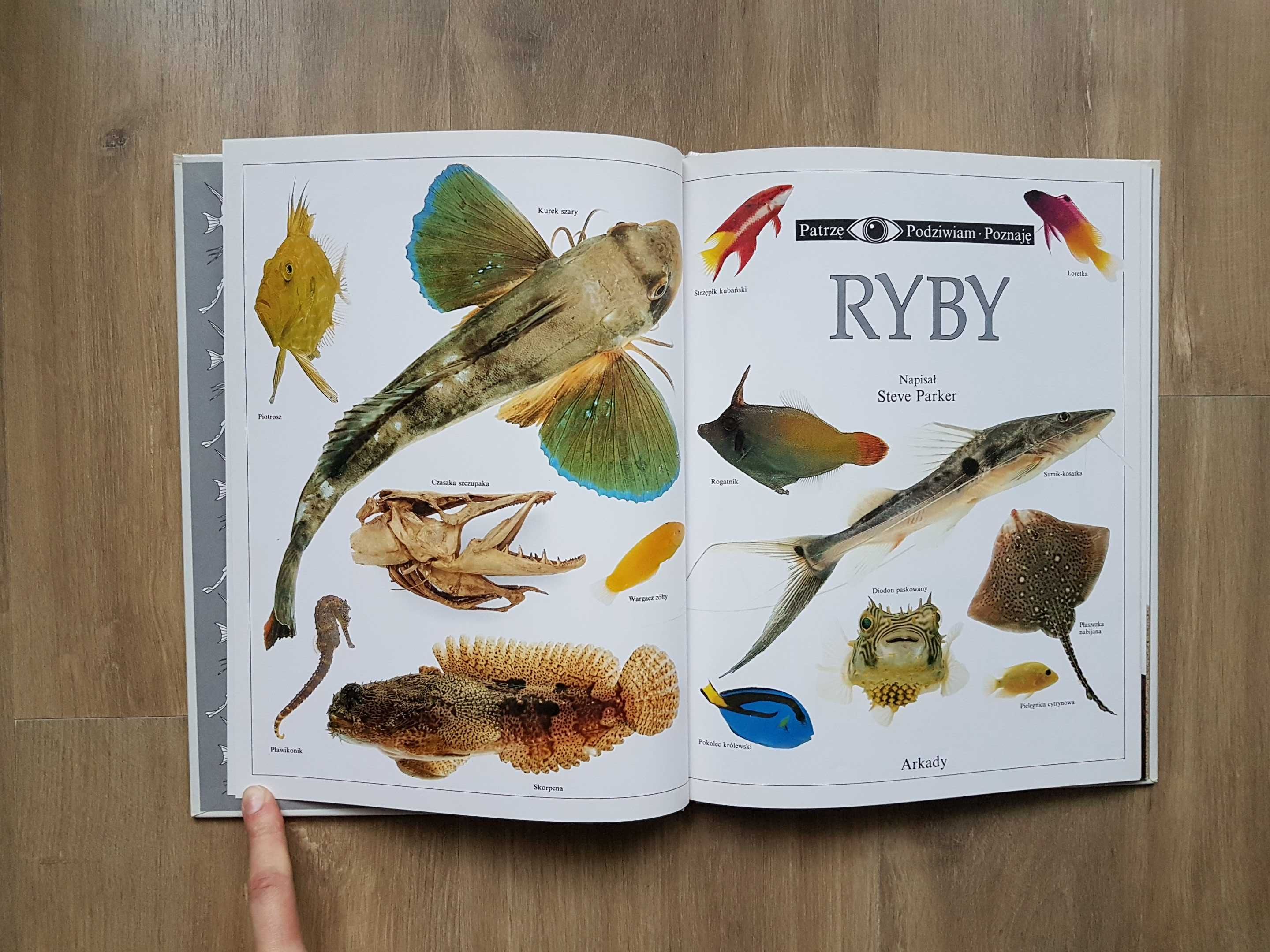 Patrzę Podziwiam Poznaję RYBY Steve Parker Arkady 1991 rok