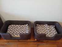 Camas para Pets!