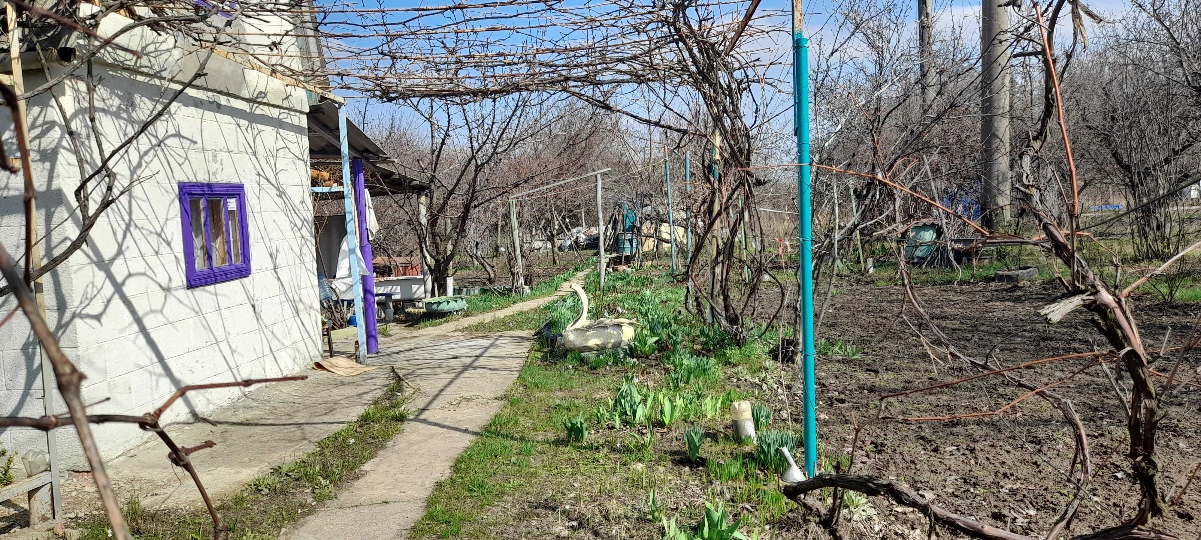 Продам дачу п. Покотиловка