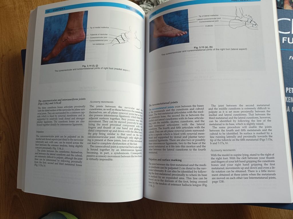 Anatomy, Palpation and Surface Markings - Softcover