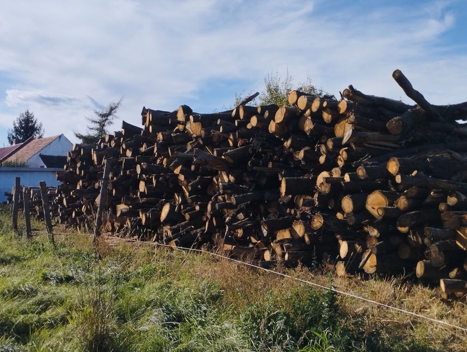 Drewno kominkowe\opałowe