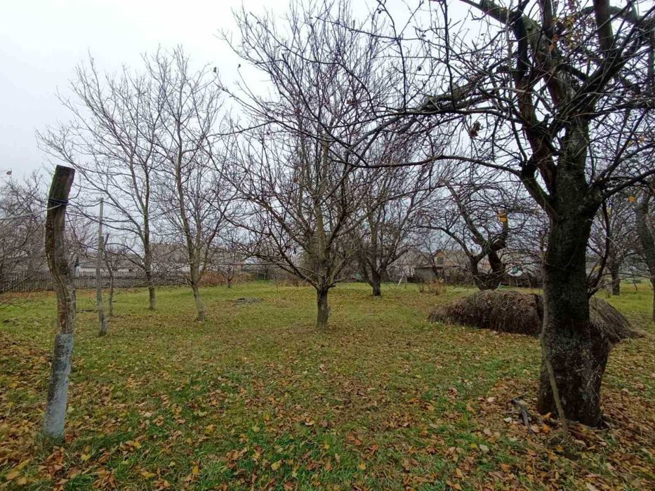 Продається будинок в селі Київська обл.