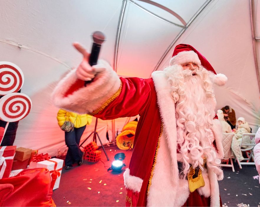 Поздравление с Новым годом от Санта-Клауса, Эльфийки и Гринча