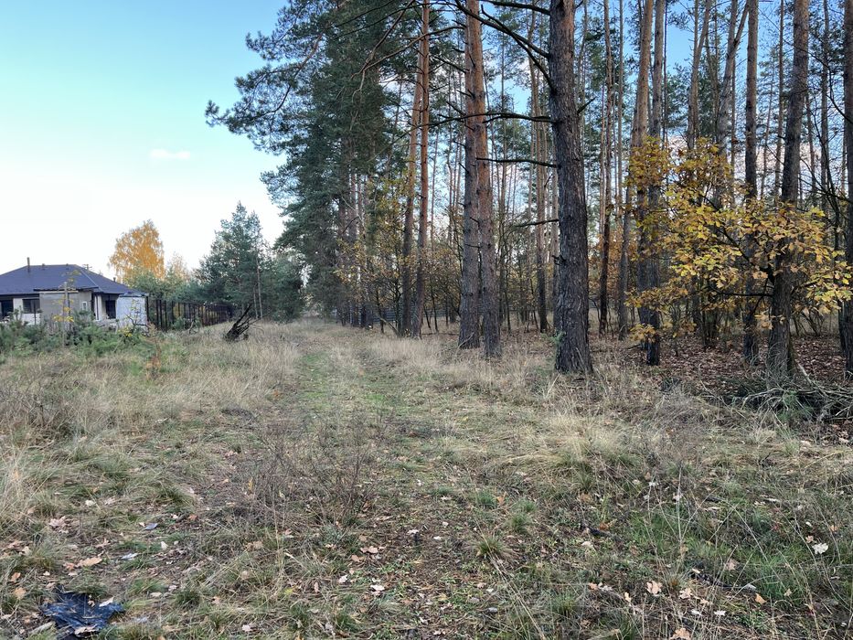 Земельні ділянки в Свидівку від 430$ за сотку! Центр, газ, світло