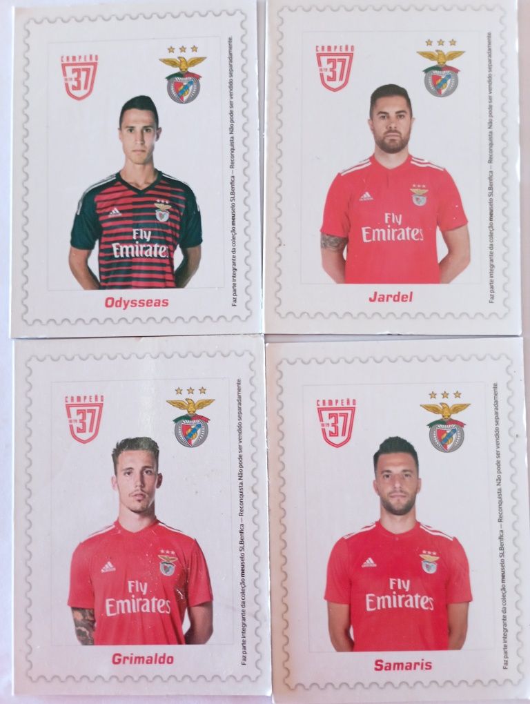Benfica campeão - Imans