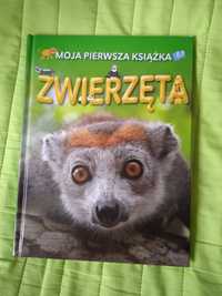Książka edukacyjna o zwierzętach z całego świata wyd. Osiejuk
