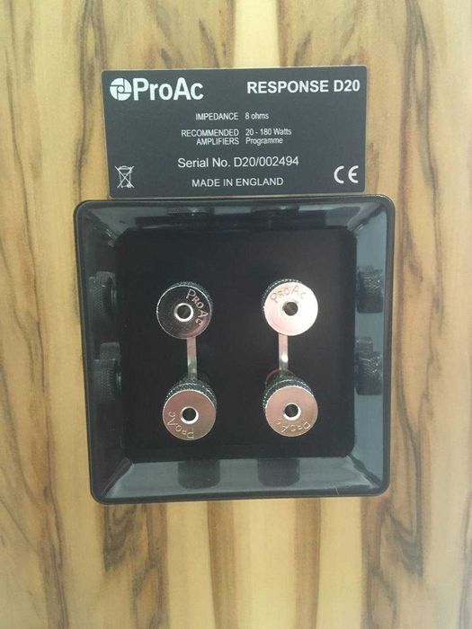 Акустичні системи ProAc Response D20R liquidambar ProAc K6 Ebony