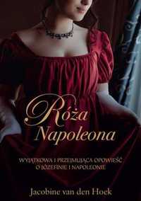 Róża Napoleona Hoek