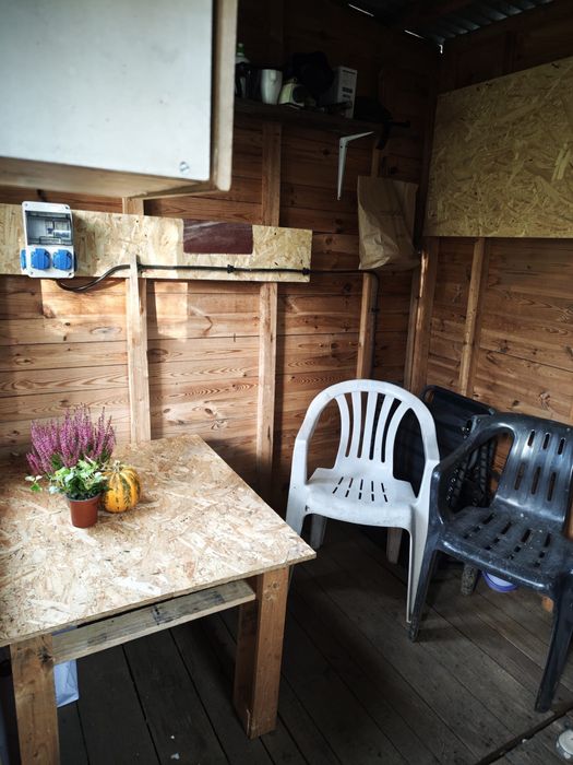 Działka ROD - Droga dębińska (Wilda) 196 m2