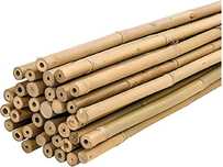 PLANTAWA Pręty, kije bambusowe 60 cm opakowanie 25 sztuk Ø 6-8 mm