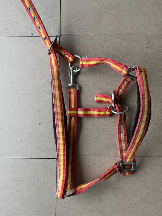 Cabeção usado em bom estado