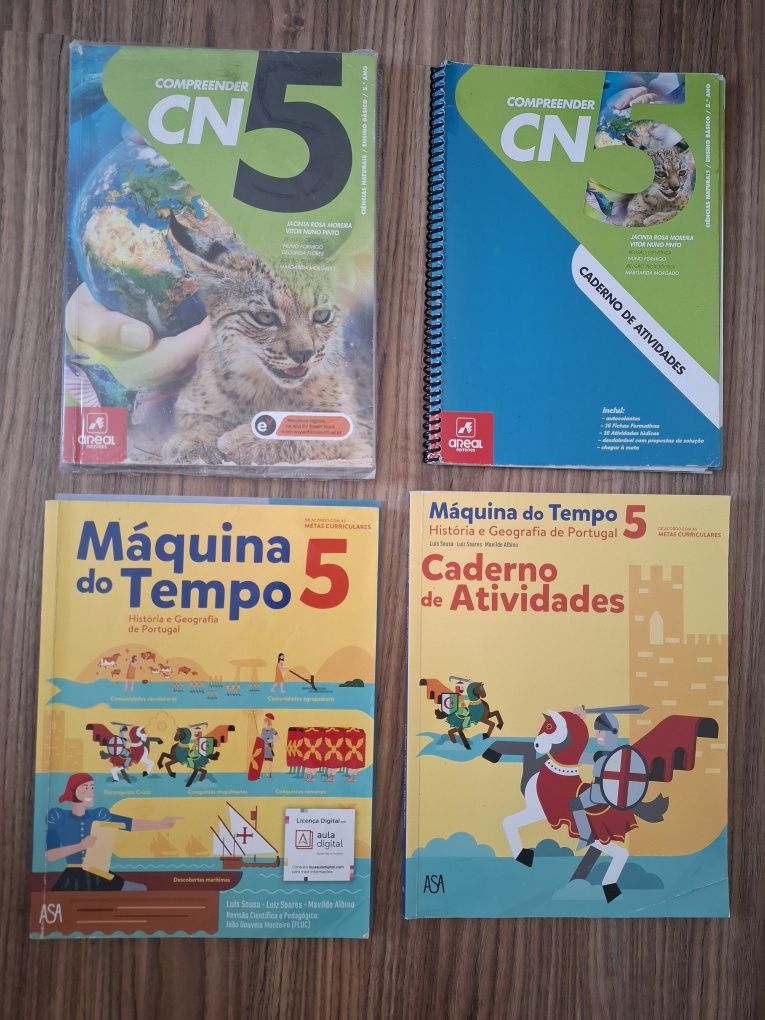 Manuais e cadernos escolares 5 Ano em bom estado