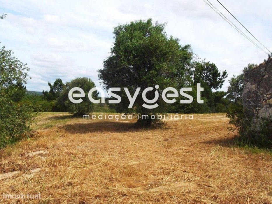 Terreno Rústico de 10 hectares a cerca de 15 minutos de Torres Novas