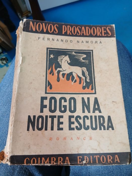 Fernando Namora, Fogo na Noite Escura