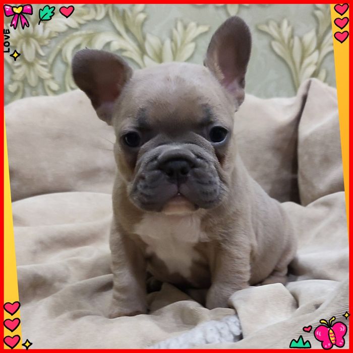 Неймовірно гарний