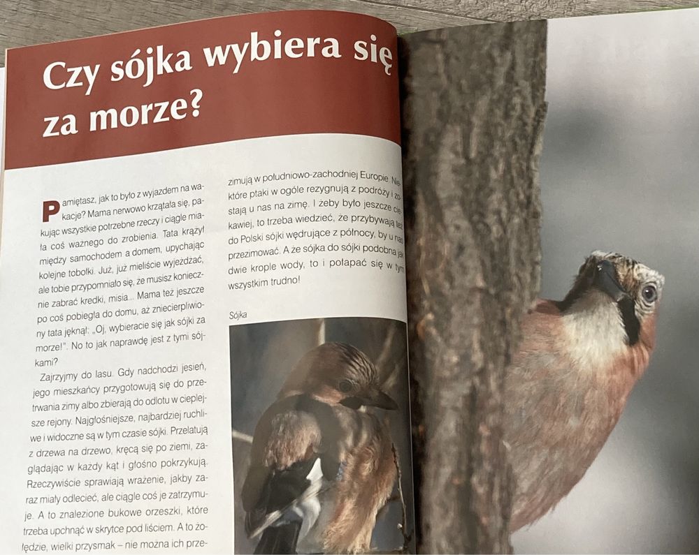 Książka niezwykły świat przyrody