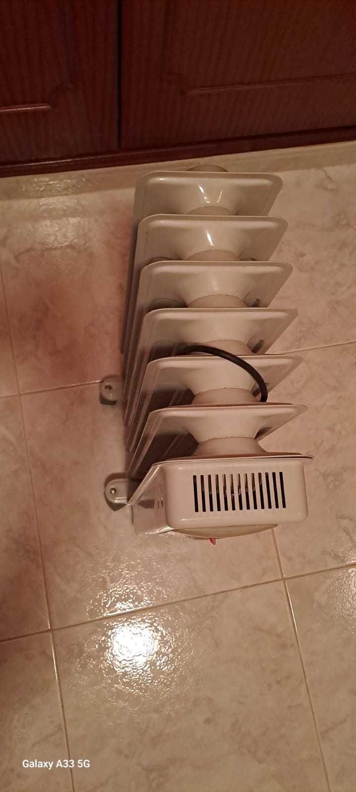 Vendo Aquecedores a óleo
