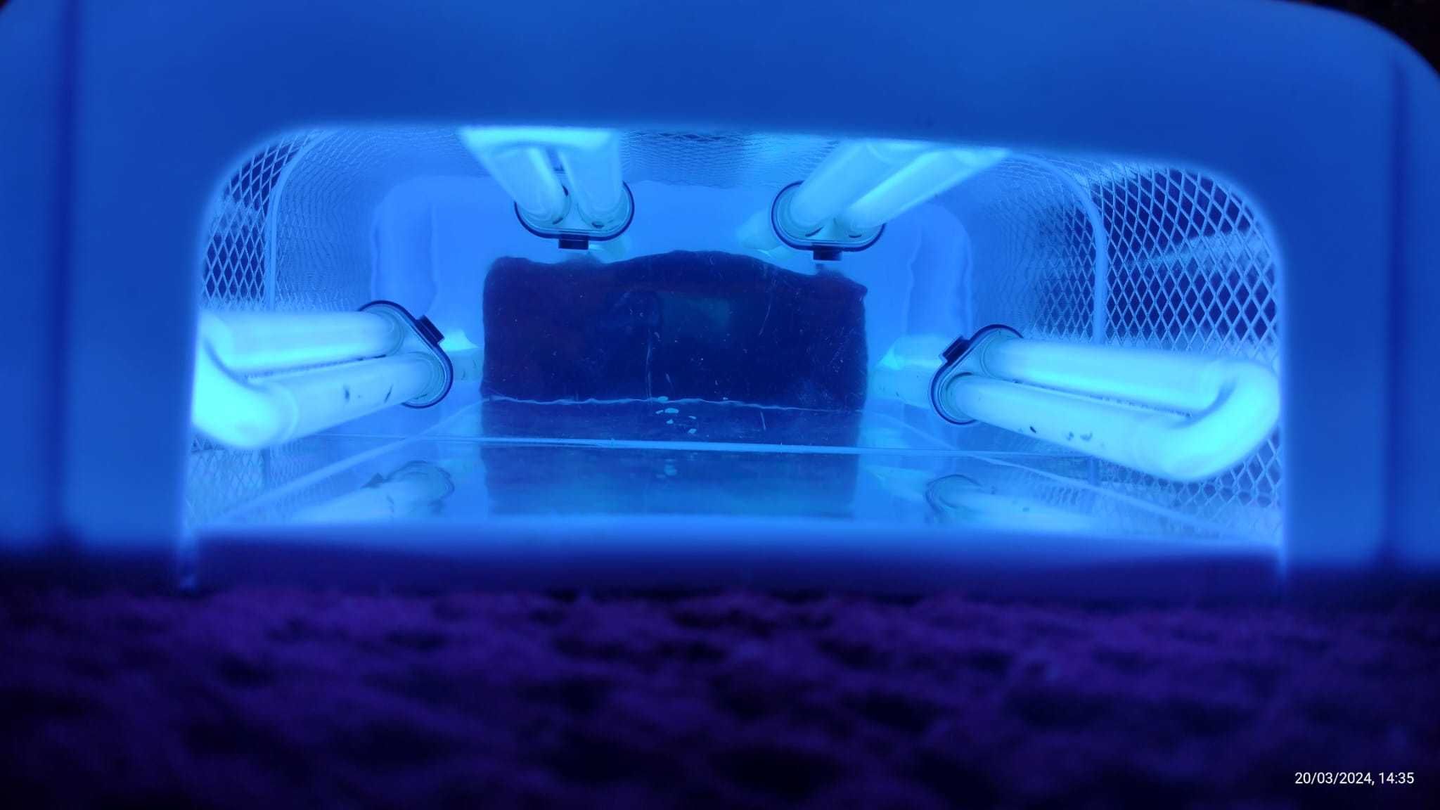 Lâmpada UV Gel - Manicure Unhas