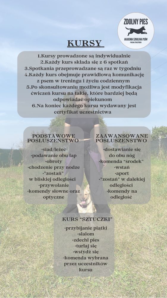 Behawiorysta psów, trener psów, zoopsycholog, Gorzów Wlkp.