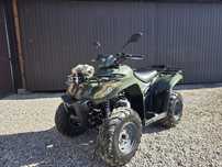 Arctic Cat kymco homologacja access adly aeon inny L7e homologacja