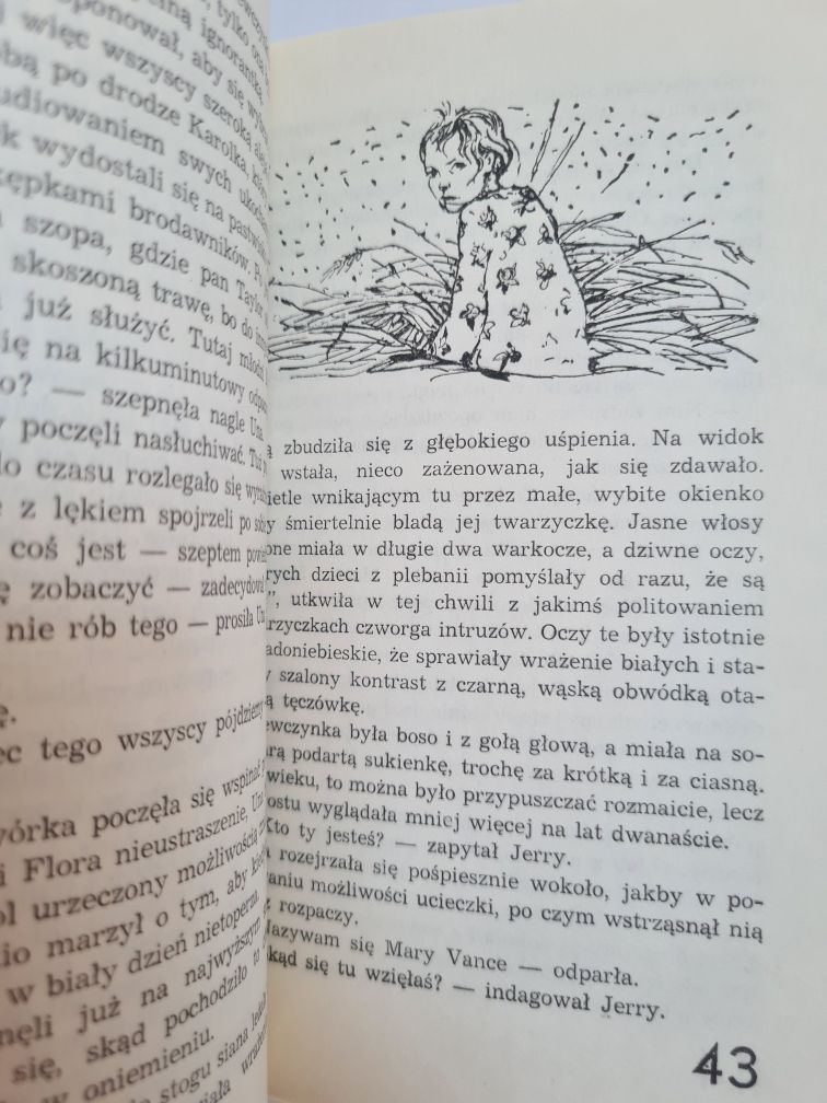 Dolina tęczy - Lucy Maud Montgomery