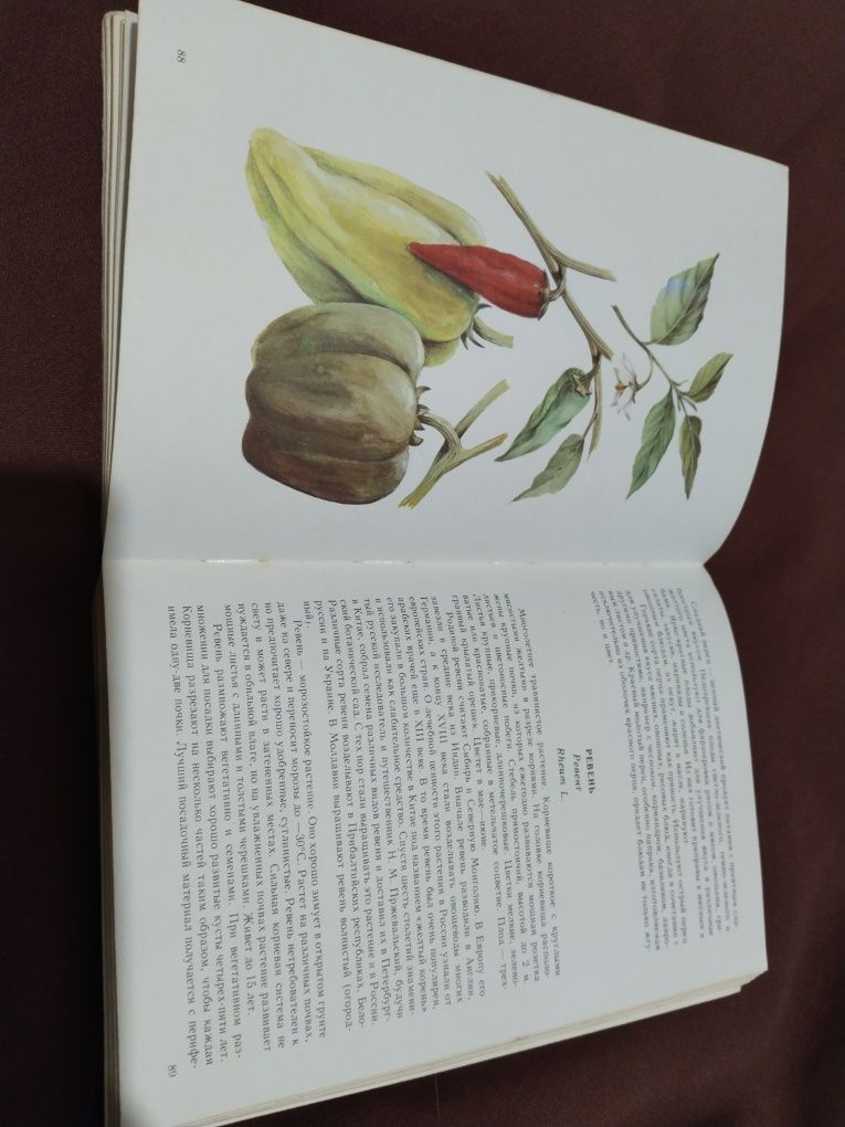 Полезная книга мир пищевых растений