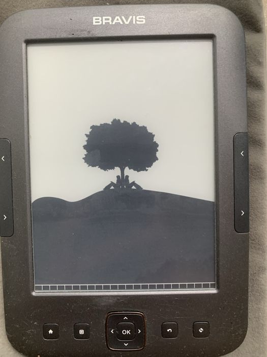 Электронная книга Bravis