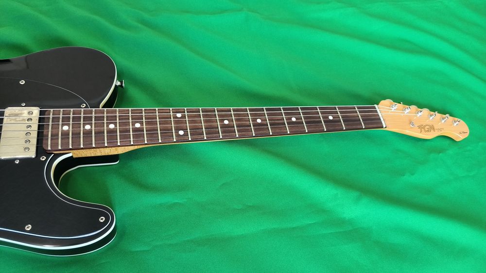 Fujigen Neo Classic TE (Japan)