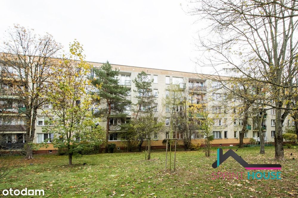 Tak dla Zwierząt, 3 oddzielne pok, widna kuchnia