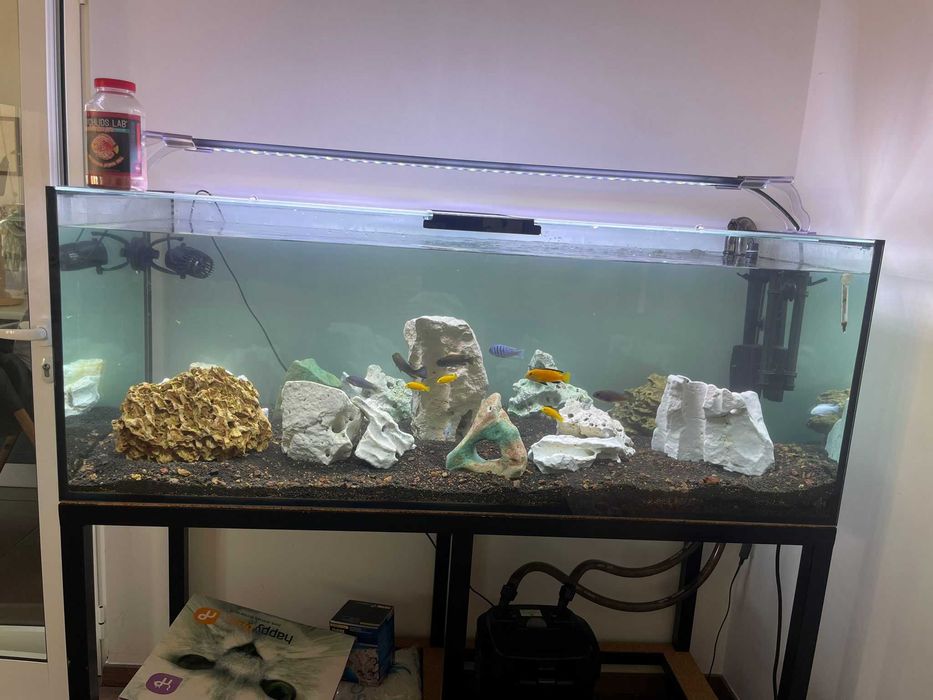 Aquário Scalare 400L