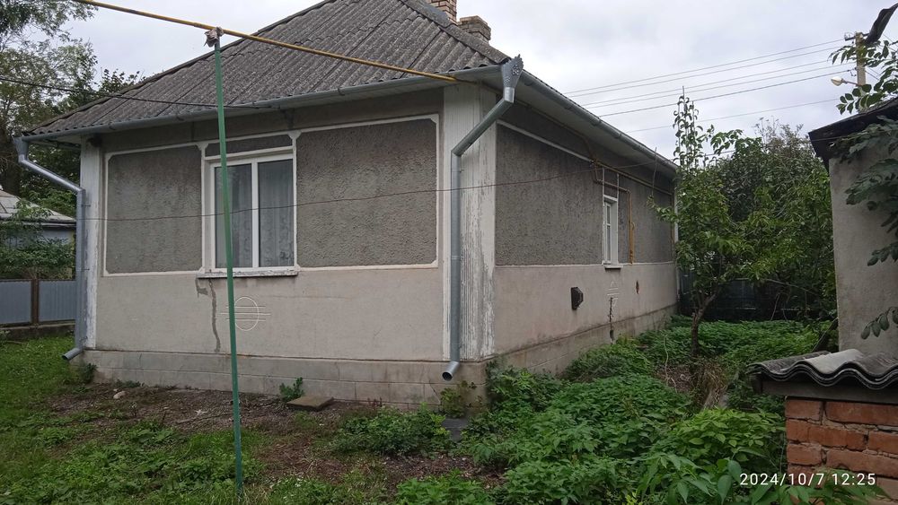 Будинок з присадибною ділянкою