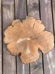 Plastry drewna 40 cm Grab